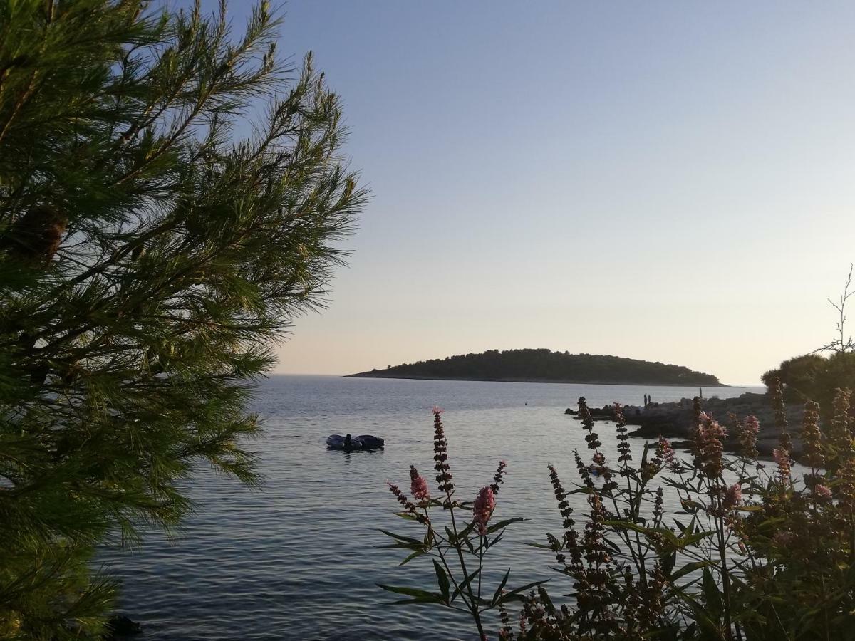 Villa Perla Dalmatica Rogoznica  Buitenkant foto